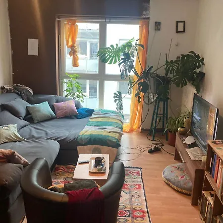 Spacious In Beautiful Central Apartment! Frankfurt nad Mohanem